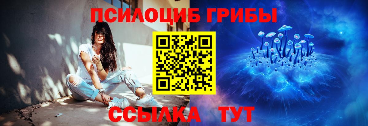 Острогожск  Галлюциногенные грибы Psilocybe  Вход с VPN  Галлюциногенные грибы GOLDEN TEACHER 